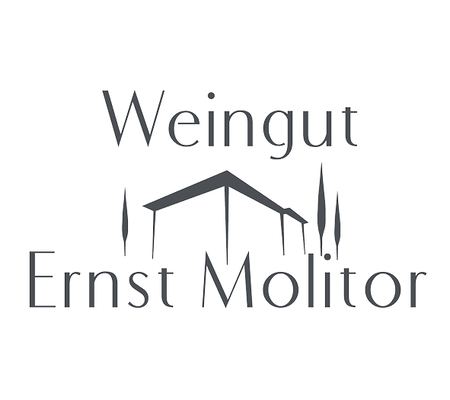Logo_WG_ErnstMolitor.png